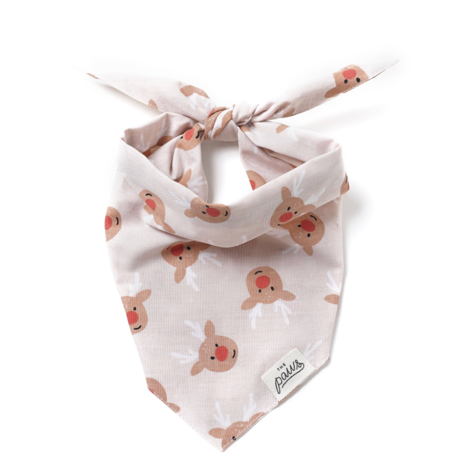 Rudolph Dog Bandana