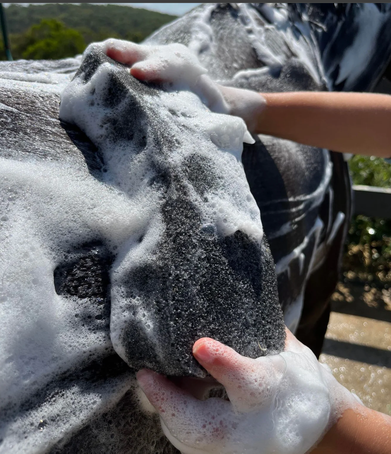 Hairy Pony Compressed Scrubbing Sponge