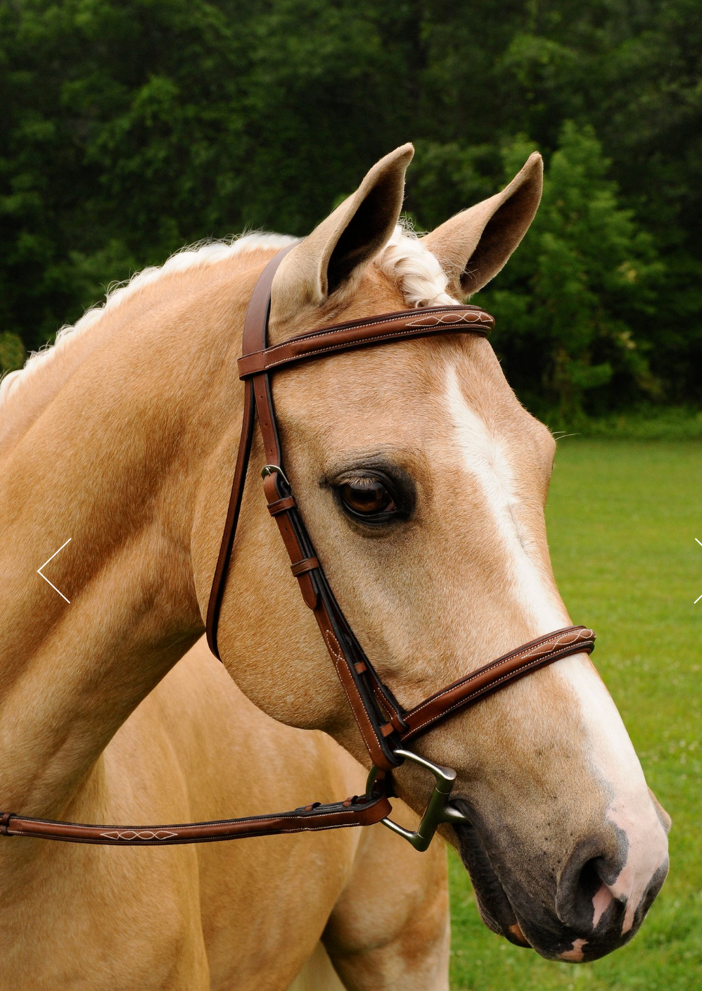 Arc De Triomphe Imperial Bridle with reins