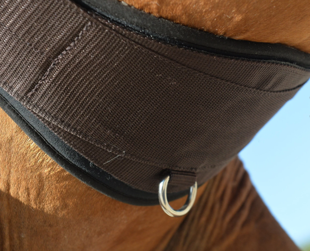 Equifit Essential Girth with SmartFabric Liner