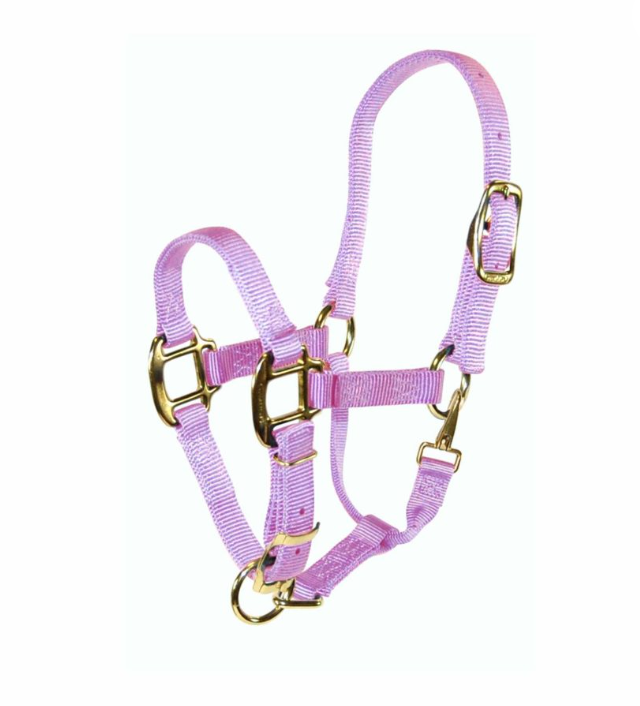 Hamilton Pony Halter