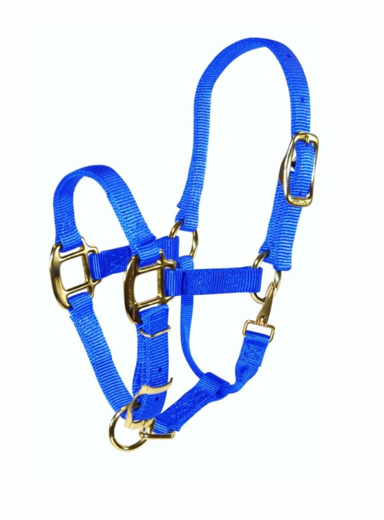 Hamilton Pony Halter